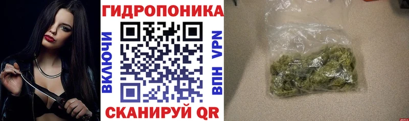 Купить  Калач  Конопля LSD WEED 